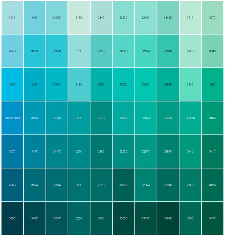 pantone color chart 2020